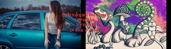 ГАЛЛЮЦИНОГЕННЫЕ ГРИБЫ Лабытнанги