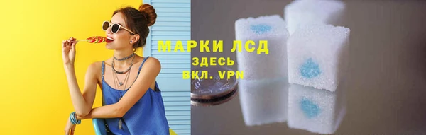 ГАЛЛЮЦИНОГЕННЫЕ ГРИБЫ Лабытнанги