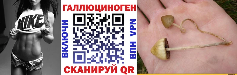 Купить где  Приморск  Псилоцибиновые грибы ЛСД 